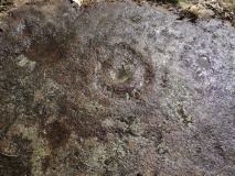 King's Park Cup and Rings
