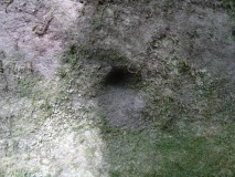Leckie 1