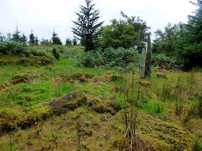 Sannaig