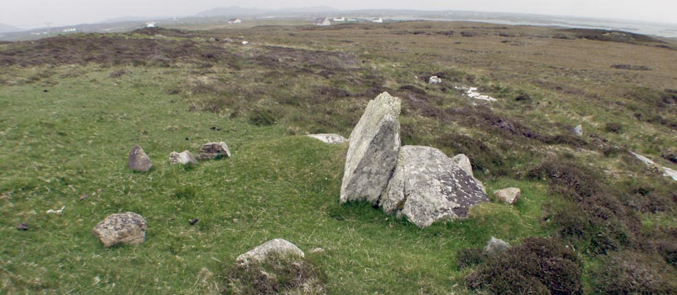 Click for the gallery page to add comments and vote (PID:12151) Carinish