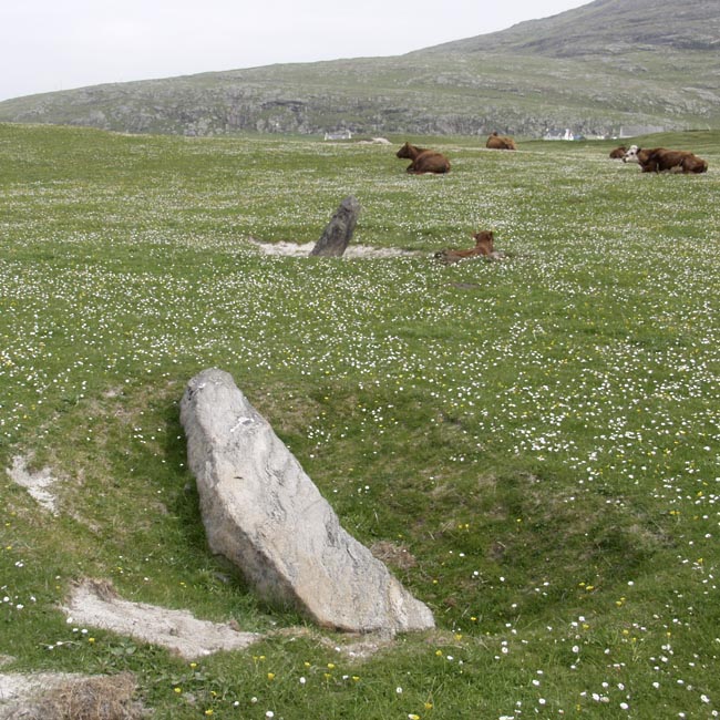 Click for the gallery page to add comments and vote (PID:12339) Borve Standing Stones