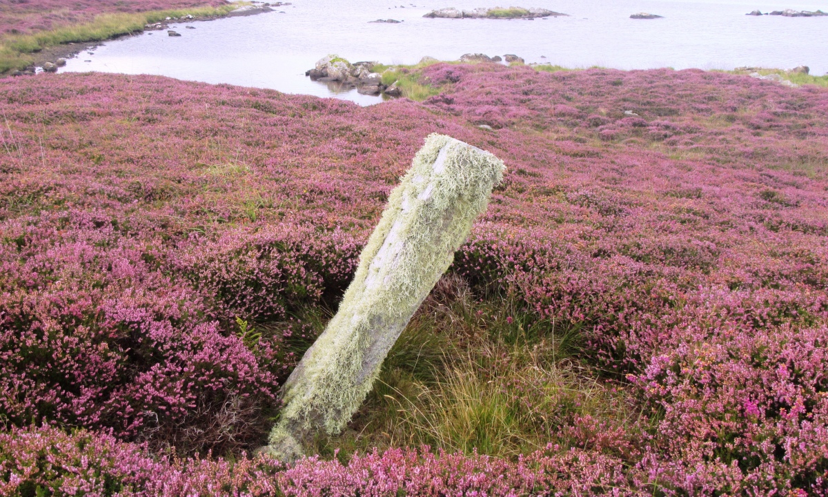 Click for the gallery page to add comments and vote (PID:263758) Olabhat Standing Stone
