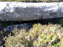 Leac A' Mhiosachan - PID:306432 Leac A' Mhiosachan - PID:306432