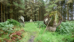 Blackpark