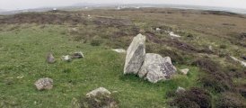 Carinish submitted by Tom_Bullock