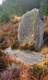 Not-so-Standing Stone