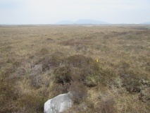 East Langass Stone Circle - PID:273801