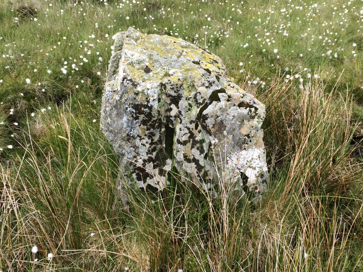 Finnarts Hill