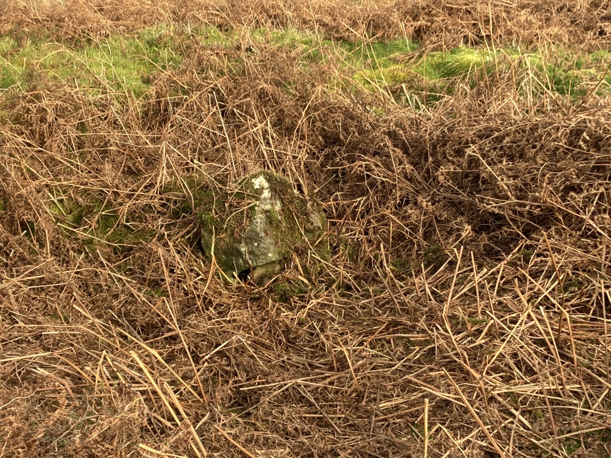 Click for the gallery page to add comments and vote (PID:265770) Laggan Cairn (Barrhill)