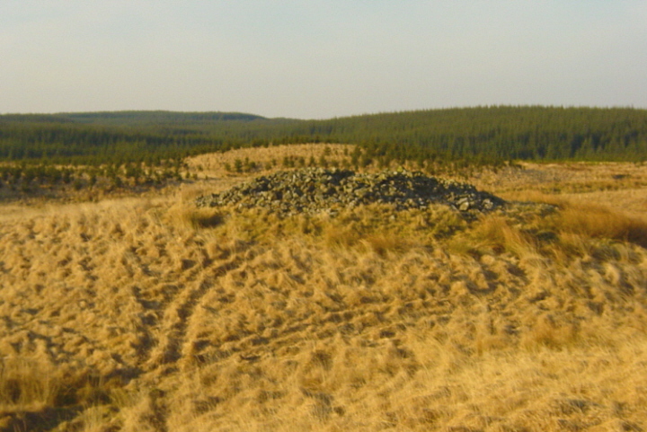 Balmalloch Chambered Cairn