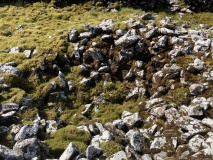 Millmoan Hill