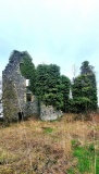 Auchans House - PID:312158