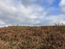 Laggan Cairn (Barrhill)