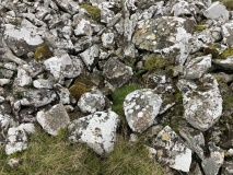 Balmalloch Chambered Cairn