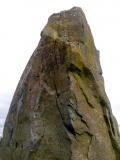 Drybridge