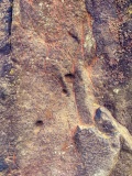 Drybridge