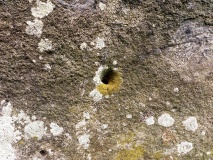 Drybridge