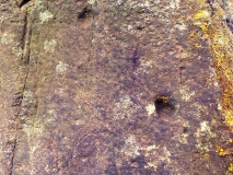 Drybridge
