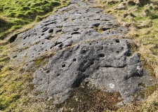 Blackshaw Rock Art - PID:286794 Blackshaw Rock Art - PID:286794