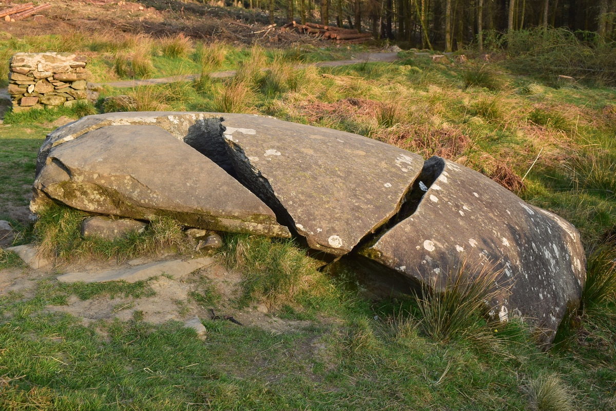 Drumfad Cup & Ring Marked Rock
