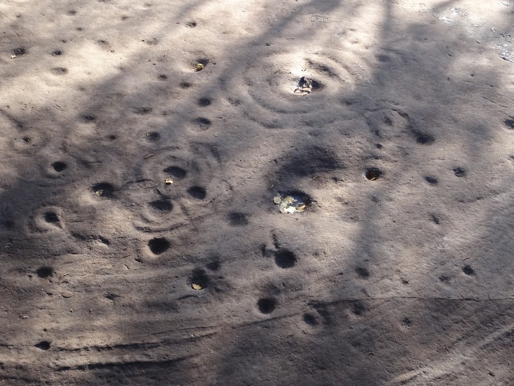 The Cochno Stone