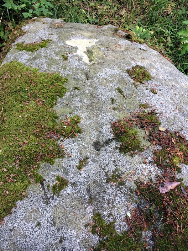 Wallace's Stone (Blairstone Mains)