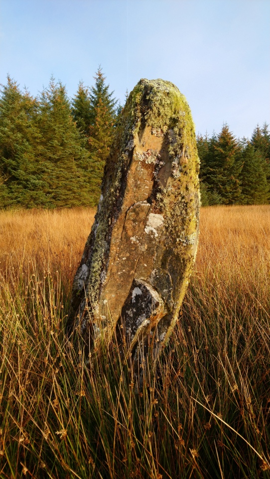 Click for the gallery page to add comments and vote (PID:205680) Arecleoch Standing Stone