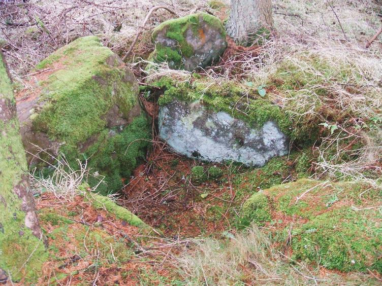 Lots of broken branches and tree litter across whole of site.

Site in West Dunbartonshire Scotland

