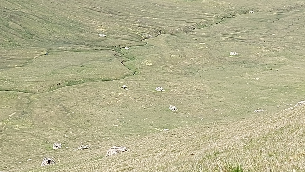Click for the gallery page to add comments and vote (PID:259514) Gleann Mor