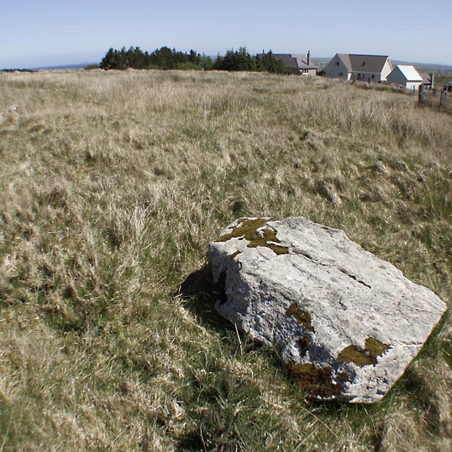 Click for the gallery page to add comments and vote (PID:10970) Priest's Glen
