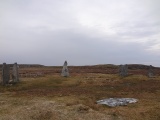 Callanish 2 - PID:116952