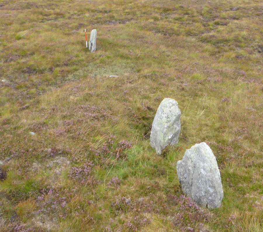 Callanish 5