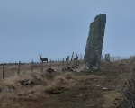 Trushal Stone - PID:206693