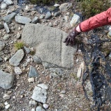 Callanish 10 - PID:311598