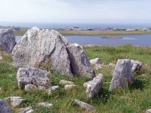 Steinacleit