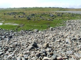 Barvas - PID:50925