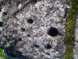 Dun Borve (nr Scarista) - PID:6228