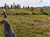 Callanish I - PID:288626