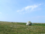 Barabhas - PID:50825