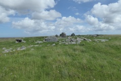 Steinacleit