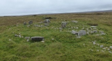 Steinacleit