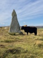 Callanish 2 - PID:222608
