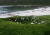 Loch Crabhadail - PID:122118