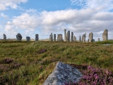 Callanish I - PID:288026