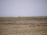 Clach Stei Lin - PID:180446