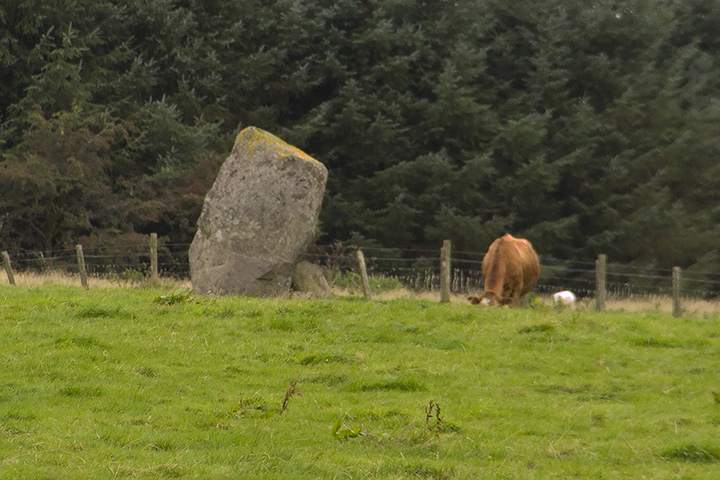 Click for the gallery page to add comments and vote (PID:158067) White Stone
