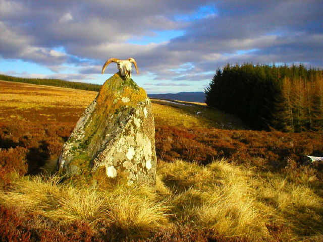 Click for the gallery page to add comments and vote (PID:77844) Glassie Standing Stone