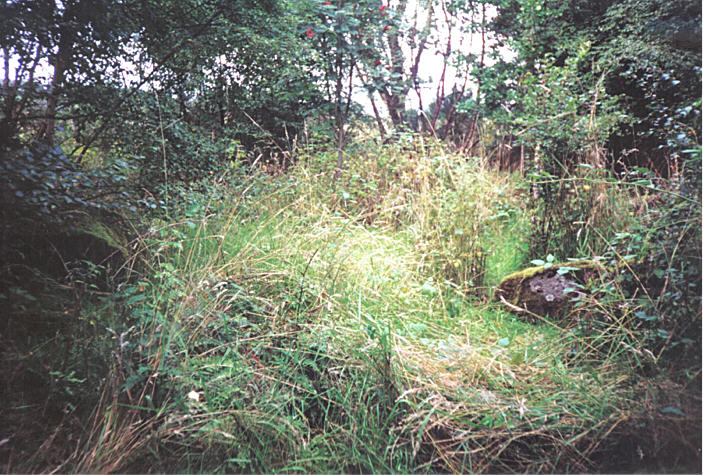 Blackfaulds