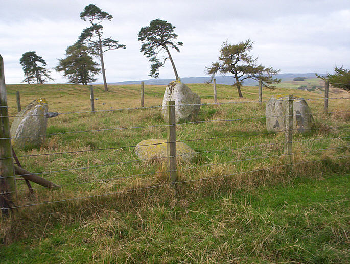 Parkneuk