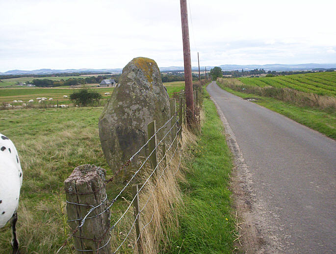 Witch's Stone